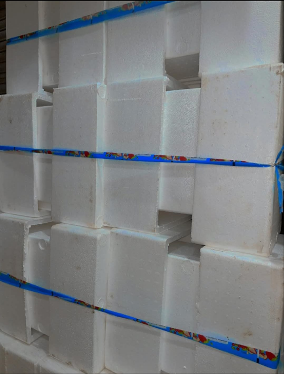 Thermopole Ice Box – 10 kg / 20 kg / 30 kg